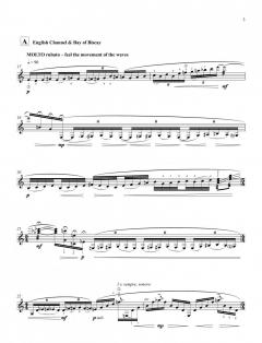 Sea Voyage von Roxanna Panufnik 