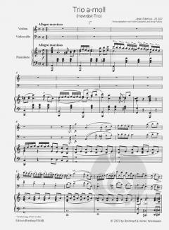 Trio a-moll JS 207 von Jean Sibelius 