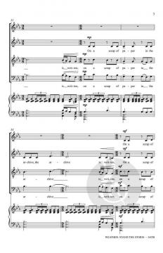 Weather: Stand the Storm von Rollo Dilworth (Download) 