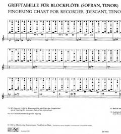 Grifftabelle für Blockflöte (Sopran, Tenor) 