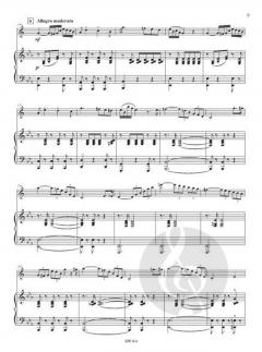 Solo de concert von Louis Mayeur 