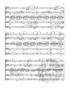Serenade E-dur op. 22 - Partitur 
