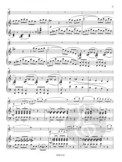 Concerto No. 1 A Minor for Violin and Piano im Alle Noten Shop kaufen