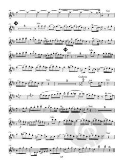 Flute Concerto D Major KV 314 (285d) 