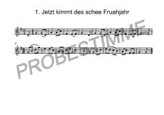 Zweisam durchs Jahr - 1. Stimme in F 
