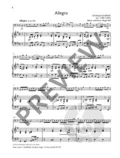 Leichte Konzertstücke 3 