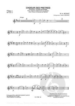 Le choeur des pretres (W.A. Mozart) 