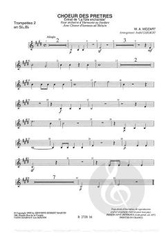 Le choeur des pretres (W.A. Mozart) 