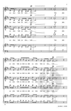 Aloha! von Cristobal Tapia de Veer (Download) 