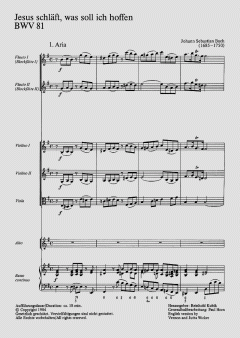 Jesus schläft, was soll ich hoffen (J.S. Bach) 