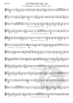 Cotton eye joe 2.0. 