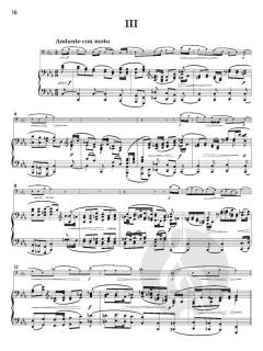 Sonata in E flat op. 120 No. 2 von Scott Joplin (Download) 