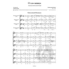 O vos omnes 