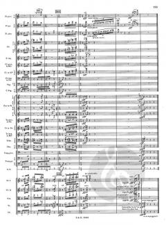 The Rite of Spring von Igor Strawinsky 