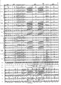 The Rite of Spring von Igor Strawinsky 
