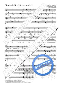 Siehe, dein König kommt zu dir a-Moll von Volker Bräutigam (Download) 