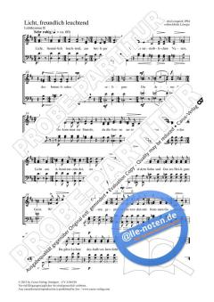 Licht, freundlich leuchtend D-Dur von Heinz Martin Lonquich (Download) 