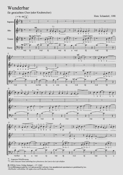 Wunderbar von Hans Schanderl (Download) 