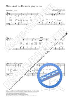 Maria durch ein Dornwald ging e-Moll (2012) von Johannes Köppl (Download) 
