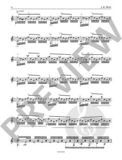 Concert Works Band 6 von Johann Kaspar Mertz 