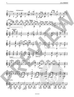 Guitar Duos Band 8 von Johann Kaspar Mertz 