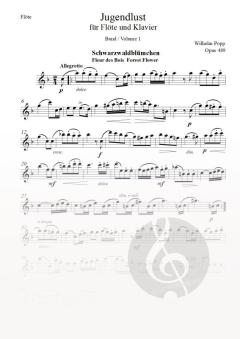 Jugendlust op. 489 Band 1 von Wilhelm Popp 