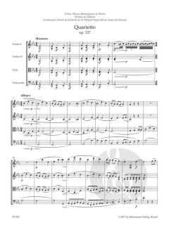 Die späten Streichquartette op. 127, 130-133, 135 von Ludwig van Beethoven (Download) 