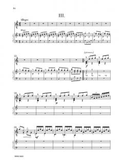 Two Concerti For Guitar (Lute) & Orchestra von Antonio Vivaldi 