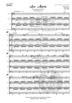 Ave Maria D 839 von Franz Schubert 