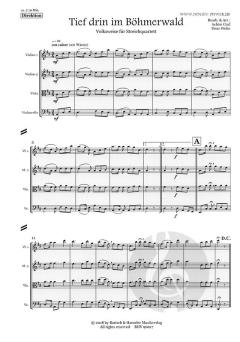 2 Streichquartette 