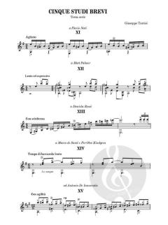 Cinque Studi Brevi Terza Serie von Giuseppe Torrisi 