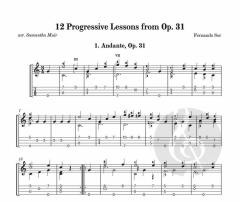 12 Progressive Lessons From op. 31 von Fernando Sor 