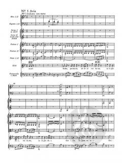 Die sieben großen Opern von Wolfgang Amadeus Mozart 