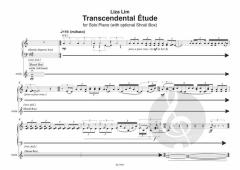 Transcendental Étude von Liza Lim 