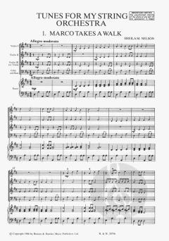 Tunes for my String Orchestra von Sheila M. Nelson 