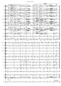 Slawischer Tanz Nr. 2 von Antonín Dvořák 