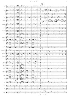 Slawischer Tanz Nr. 2 von Antonín Dvořák 