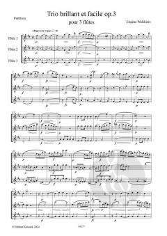 Trio brillant et facile op.3 von Eugène Walckiers 