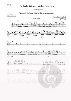 Schafe können sicher weiden von Johann Sebastian Bach 