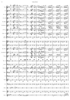 Matrosenmarsch von Franz von Suppé 