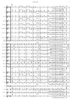 Matrosenmarsch von Franz von Suppé 