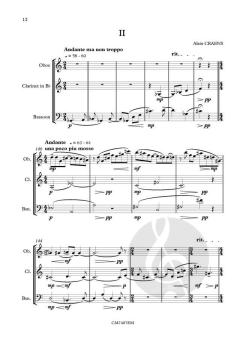 Divertimento von Alain Craens 