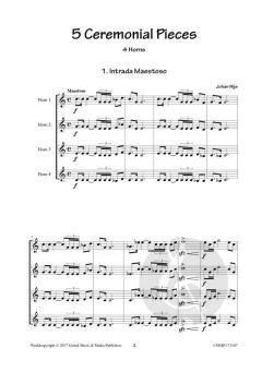 5 Ceremonial Pieces von Johan Nijs 