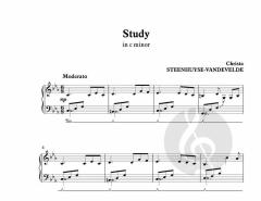 2 Little Studies von Christa Steenhuyse-Vandevelde 