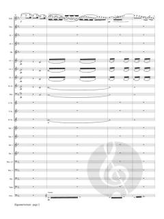 Zigeunerweisen von Pablo de Sarasate 