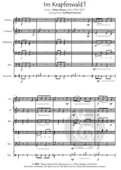Streetlife live! Johann Strauss "Im Krapfenwald´l" von Johann Strauss (Sohn) 