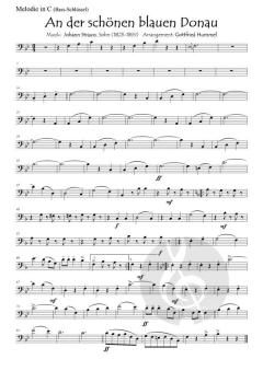Ein Strauss mit Strauss von Johann Strauss (Sohn) 