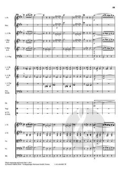 Thermen op. 245 RV 245AB/C von Johann Strauss (Sohn) 