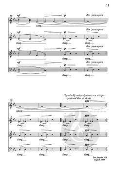 Stopping By Woods on a Snowy Evening von Eric Whitacre 