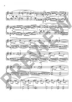 Der fliegende Holländer WWV 63 von Richard Wagner (Download) 